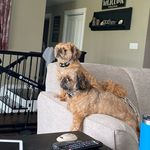 Jason Philbrook - @philbrook_jason - Instagram