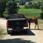 Jason Piatt - @jdpiatt - Instagram