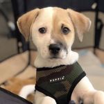Jason Pickard - @jasoncliff23 - Instagram