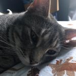 Jason Pinder - @jasonpinder17 - Instagram