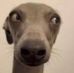 Jason Pinder - Facebook