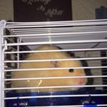 Jason Pinner - @jason.pinner1999 - Instagram
