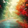 Jason Wells Piotrowski - @jason.wells.piotr - TikTok