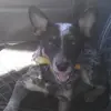 jasonpitzer5 - @jasonpitzer5 - TikTok
