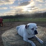 Jason Plank - @jason.plank.37 - Instagram