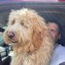 Jason Ploof - Facebook