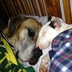 Jason Plumbly - @jasonplumbly - Instagram