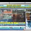 jasonplumbing - @jason_plumbing - TikTok