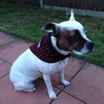 Jason Plunkett - @plunkett11746 - Instagram