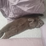 복진영 - @jasonpok04 - Instagram