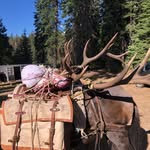 Jason Post - @dg_outfitters___ - Instagram