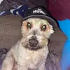 Jason_Posts - @jason_posts - TikTok