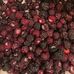 Jason Poth Farms - Facebook
