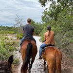 Jason Prall - @jason_prall - Instagram
