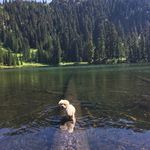 JP - @jason.presnell.54 - Instagram