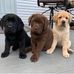 Jason Bruner - Facebook