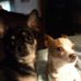 Jason Prunty - Facebook
