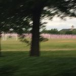 @jason_putman88 - Instagram