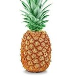 JASON PINEAPPLE - @jason_pyneapple_memelord - Instagram