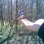 Jason Pyne - @jtp6545 - Instagram