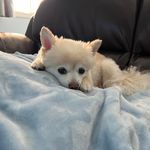 Jason Quon - @jasonquon - Instagram