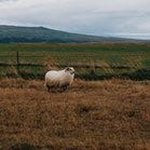 Jason Randel - @jasonrandel7162 - Instagram