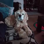 Jason Randell - @jasonrandell58 - Instagram
