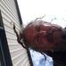 Jason Ratcliffe - Facebook