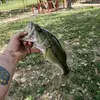 jason1316 - @jasonrathfon1316 - TikTok