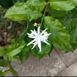 Jason Rathnam - @jason_rathnam - Instagram