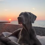 Jason Rawson - @jasonrawson3 - Instagram