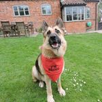 Jason Read - @jason.read.50 - Instagram