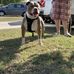Jason Reddick - Facebook