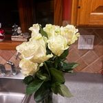 Jason - @jason_reiter06 - Instagram