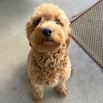 Jason Richey - @jasonrichey38 - Instagram