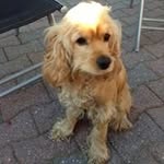 Jason Riesmeijer - @jasonriesmeijer - Instagram