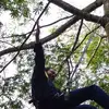 Jason Rincon - @jason.rincon3 - TikTok