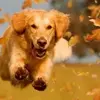 Jason Ritchey - @jason.ritchey5 - TikTok