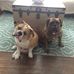 Jason Ritchey - Facebook