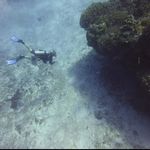 Jason Roach - @jasonroach282 - Instagram