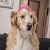 Jason Robillard - Facebook
