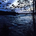 Jason Robillard - @jayfromstony - Instagram