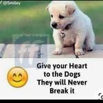 Jason Rohan - @ivankasujatha - Instagram