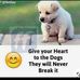 Jason Rohan - Facebook