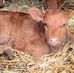 Jason Roloff - Facebook