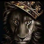 Jason Root - @jason.root.1612 - Instagram
