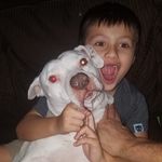 Jason Root - @jasonroot15 - Instagram