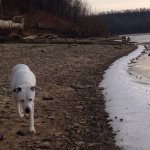 Jason Roush - @jroush38 - Instagram
