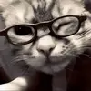 JASON? - @jasonrubio8 - TikTok