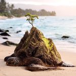 Jason rubio - @jaisonrubio - Instagram